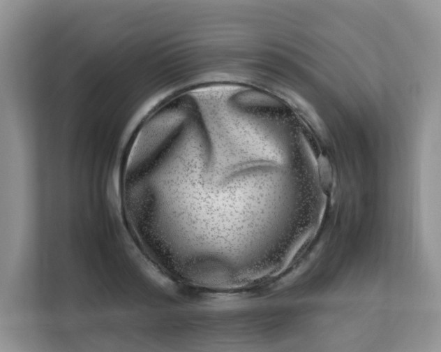 X0000113290796200909281011