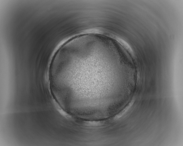 X0000113290800200909281011