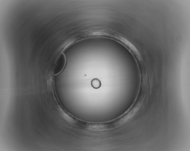 X0000113290801200909281011