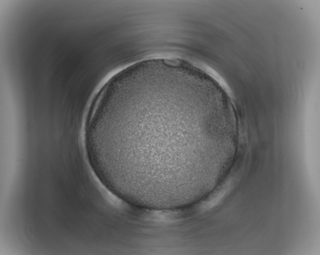 X0000113290803200909281011