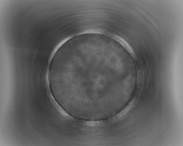 X0000113290804200909281011