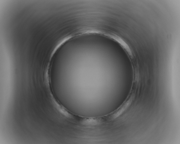 X0000113290806200909281011