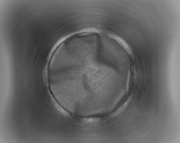 X0000113290808200909281011