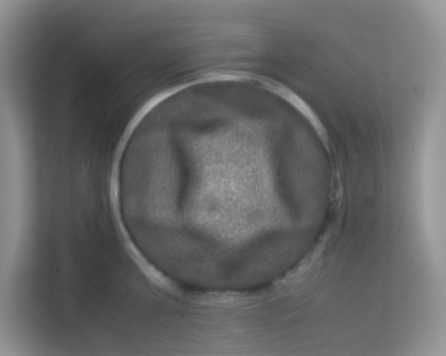 X0000113290811200909281011