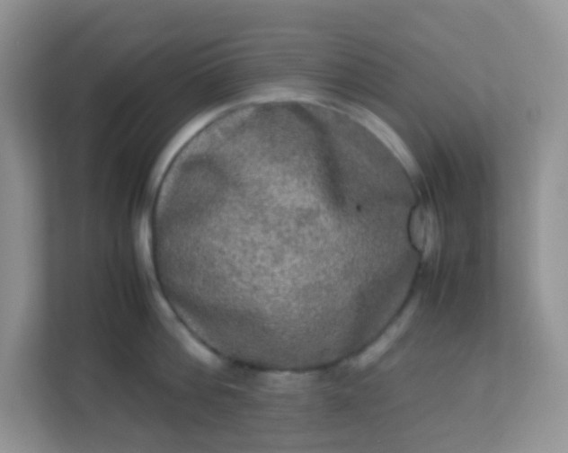 X0000113290812200909281011