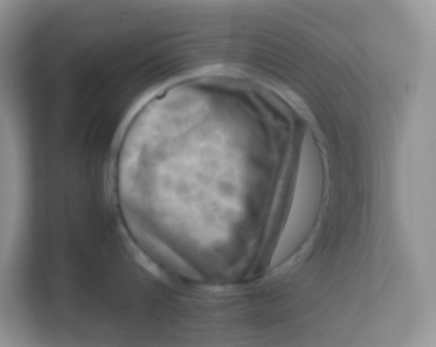 X0000113290816200909281011