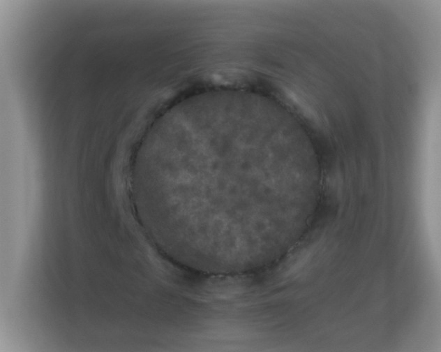 X0000113290817200909281010