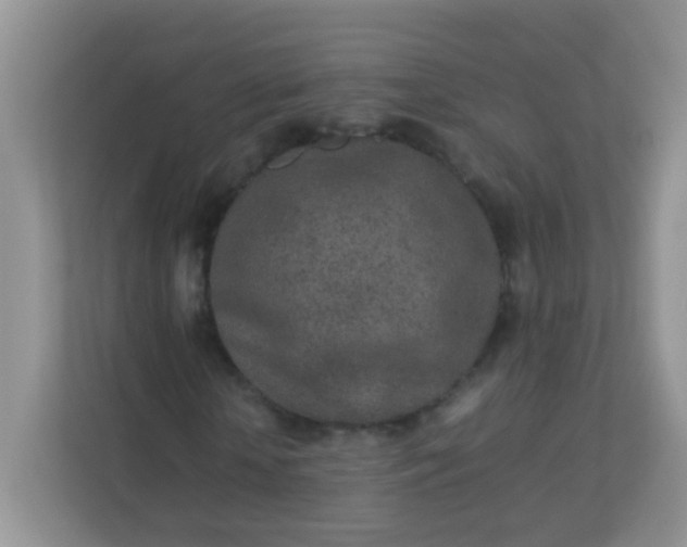 X0000113290818200909281010