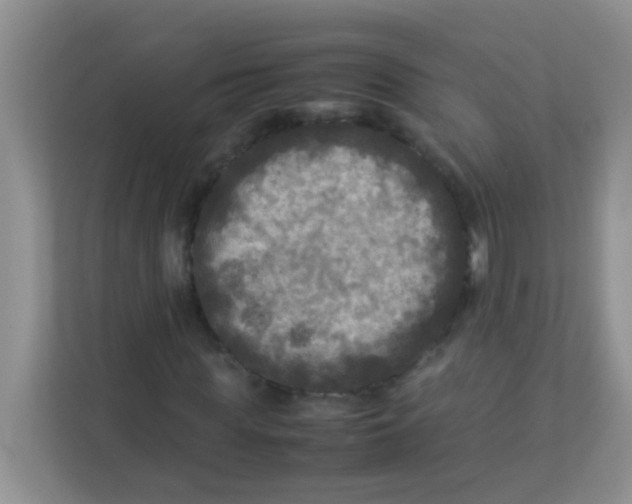 X0000113290819200909281010