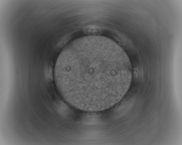 X0000113290820200909281010