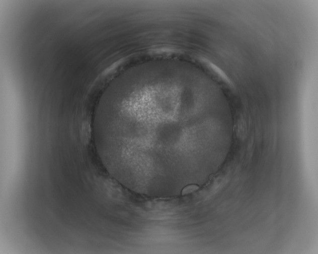 X0000113290821200909281010