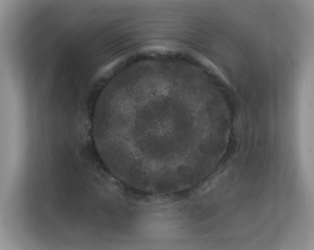 X0000113290822200909281010