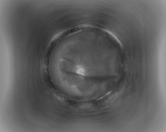 X0000113290823200909281010