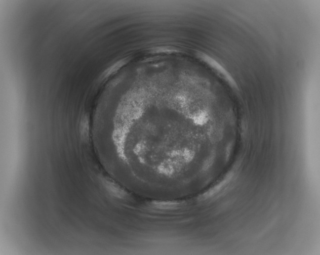 X0000113290825200909281010