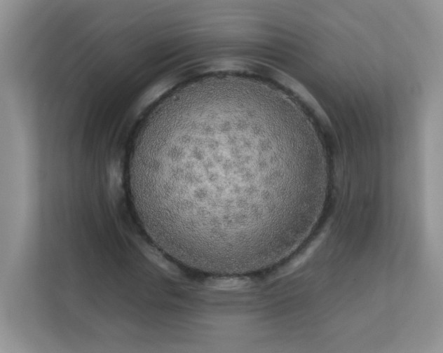 X0000113290826200909281010