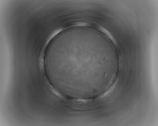 X0000113290827200909281010