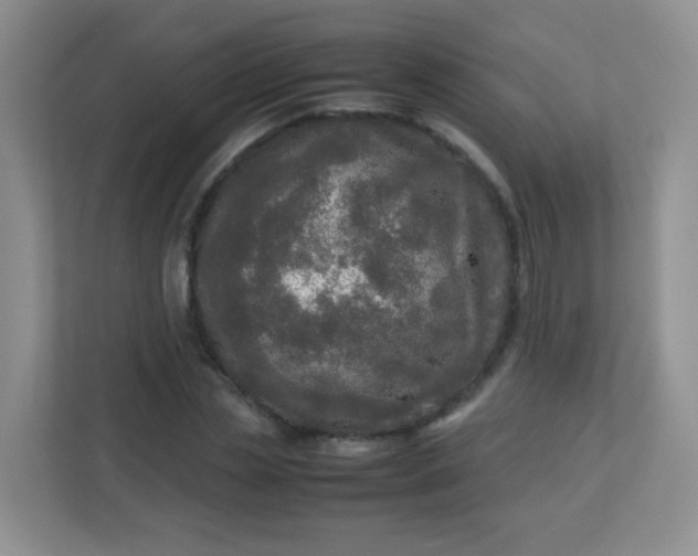 X0000113290829200909281010