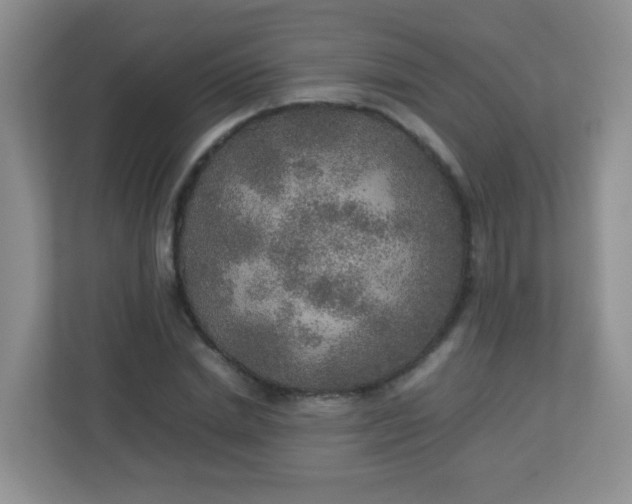 X0000113290830200909281010