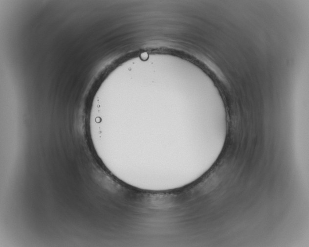 X0000113290832200909281010