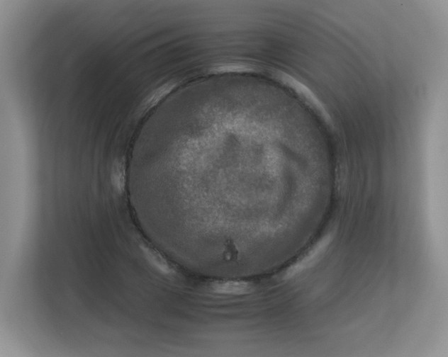 X0000113290833200909281010