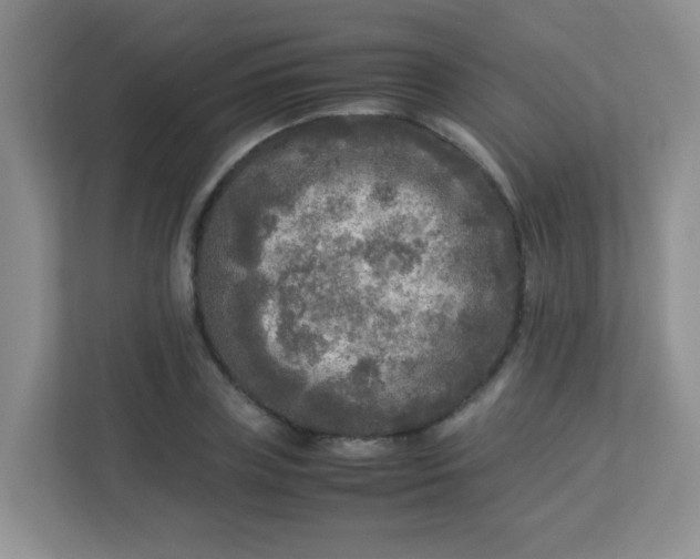 X0000113290835200909281010