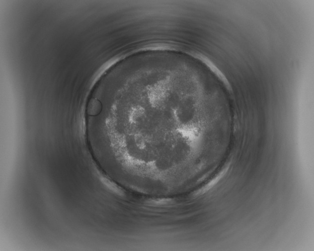 X0000113290837200909281010