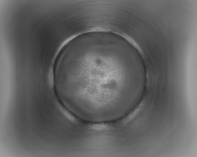 X0000113290838200909281010