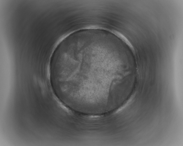 X0000113290839200909281010