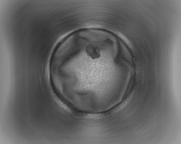 X0000113290840200909281010