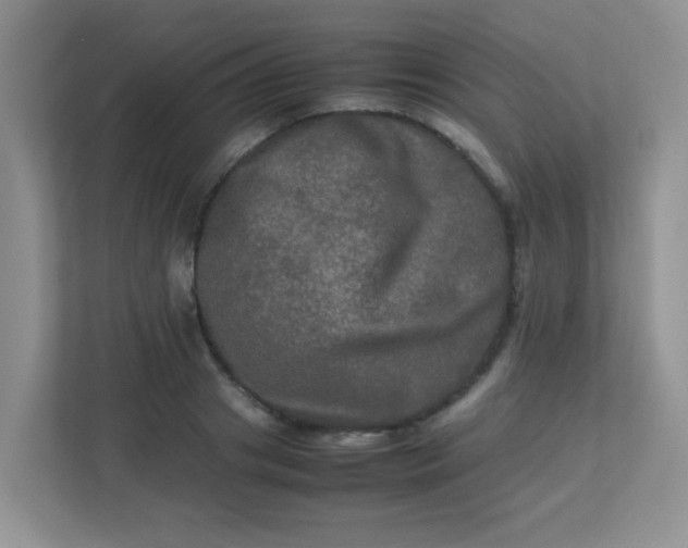 X0000113290841200909281010