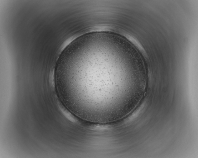 X0000113290842200909281010