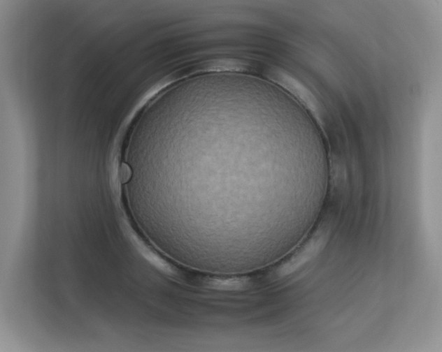 X0000113290843200909281010