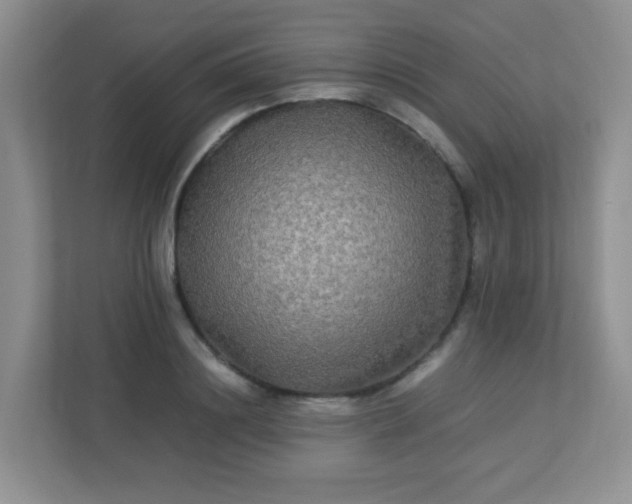 X0000113290844200909281010