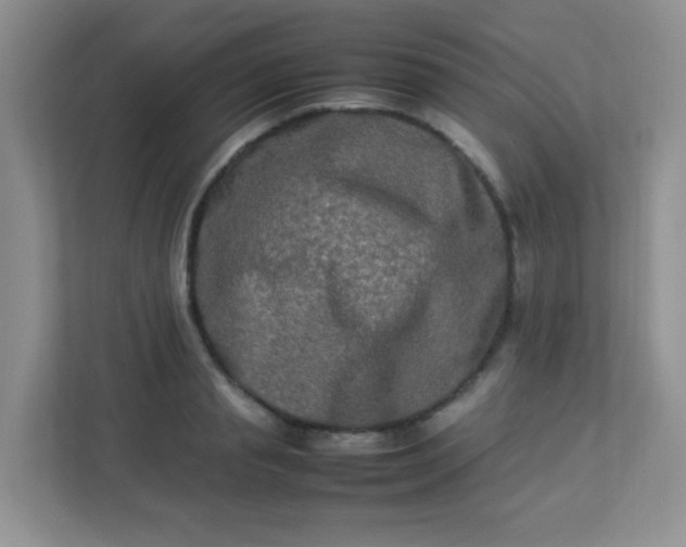 X0000113290845200909281010