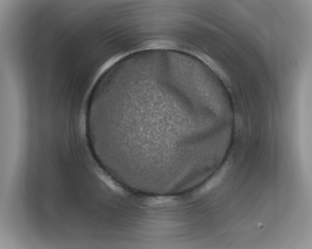 X0000113290846200909281010