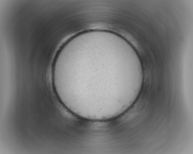 X0000113290848200909281010