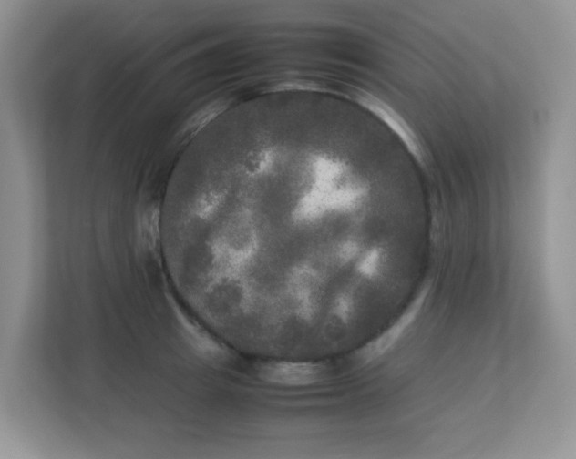 X0000113290849200909281010