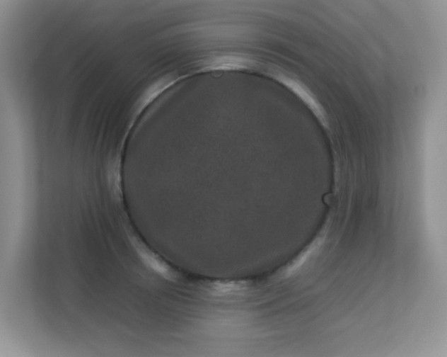 X0000113290850200909281010