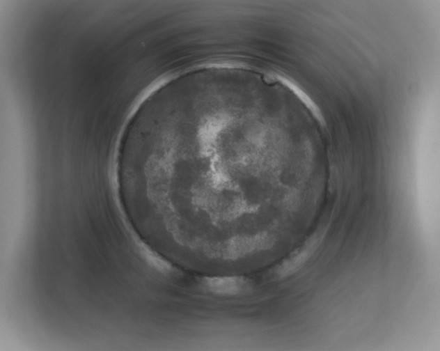 X0000113290853200909281010