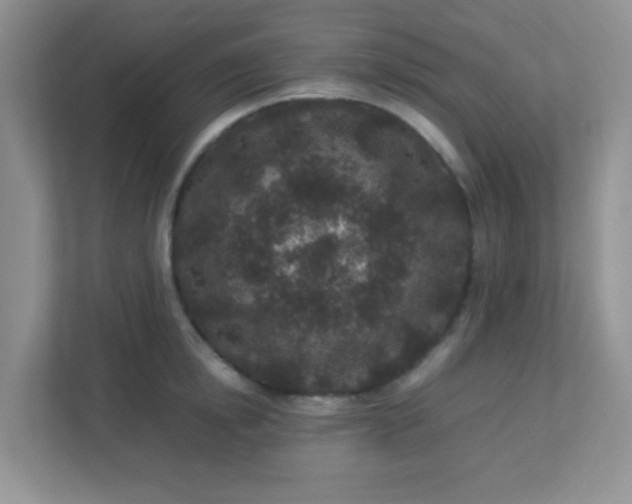 X0000113290854200909281010