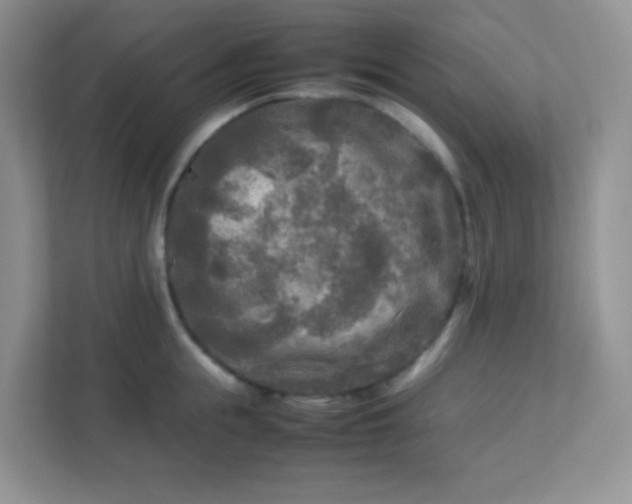 X0000113290855200909281010