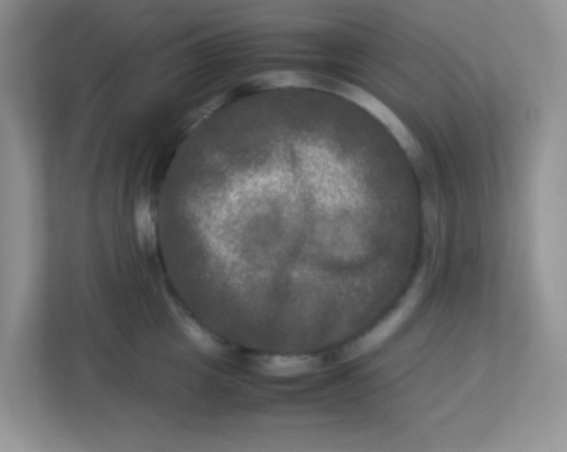 X0000113290857200909281010