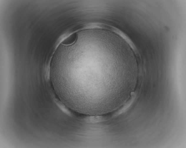 X0000113290858200909281010