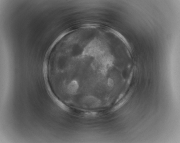 X0000113290859200909281010