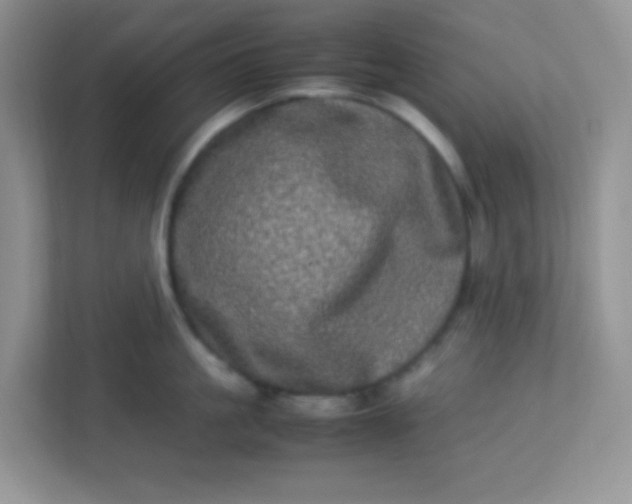 X0000113290861200909281011