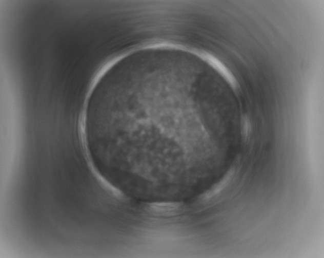 X0000113290863200909281011