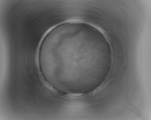 X0000113290864200909281011