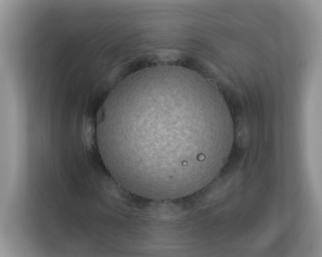 X0000113290866200909281010