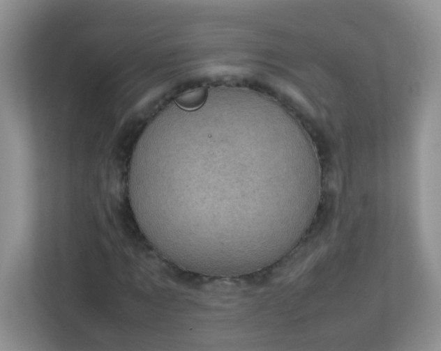 X0000113290869200909281010