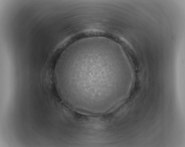 X0000113290870200909281010